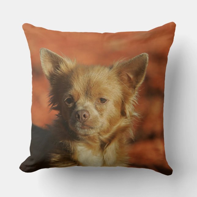 Chihuahua Puppy Headshot Throw Pillow (Front)