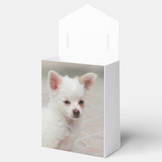 Chihuahua puppy in a garden favor box