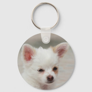 Chihuahua puppy in a garden keychain