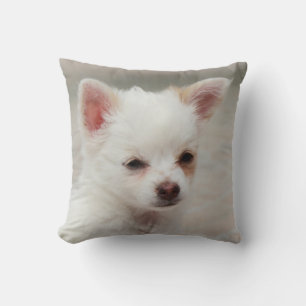 Chihuahua puppy in a garden throw pillow