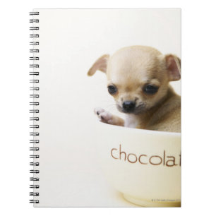 Chihuahua puppy in bowl (cropped) notebook