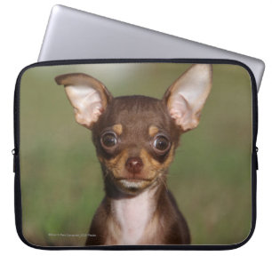 Chihuahua Puppy Looking at Camera Laptop Sleeve