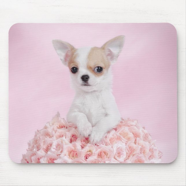 Chihuahua puppy mouse pad (Front)