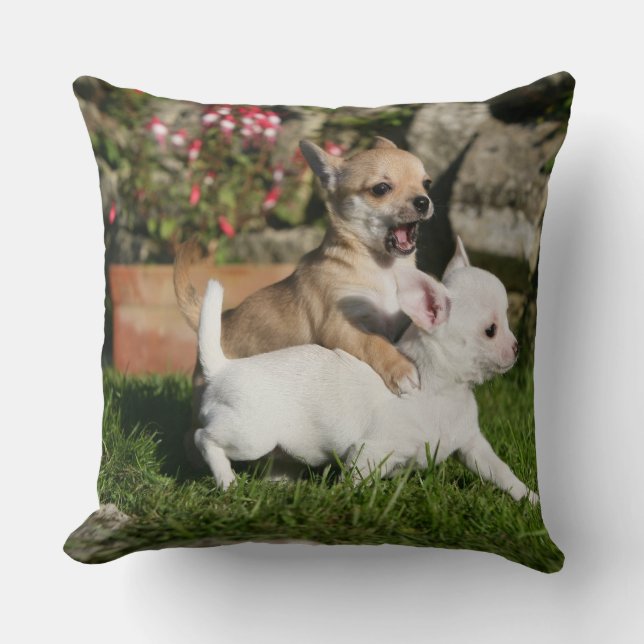 Chihuahua Puppy Playing Throw Pillow (Front)