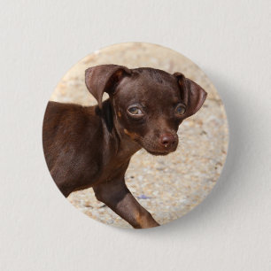 Chihuahua Puppy Walking 2 Inch Round Button