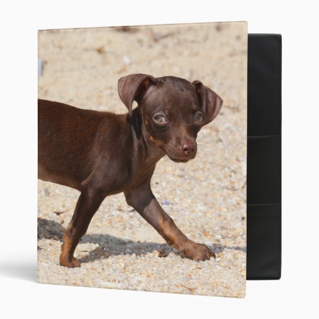 Chihuahua Puppy Walking Binder (Front/Inside)