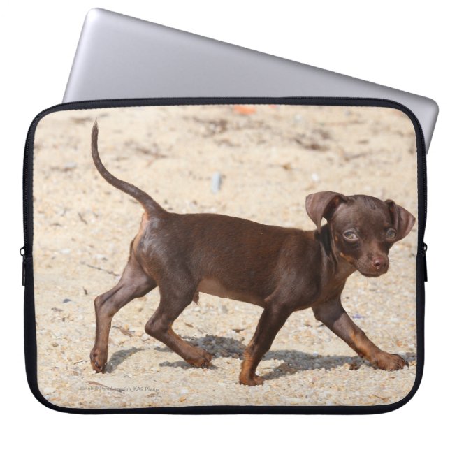 Chihuahua Puppy Walking Laptop Sleeve (Front)