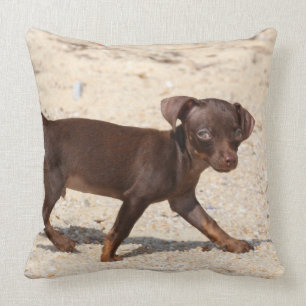 Chihuahua Puppy Walking Throw Pillow
