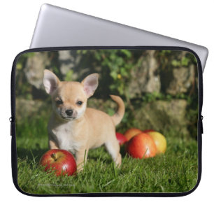 Chihuahua Puppy with Apples Laptop Sleeve