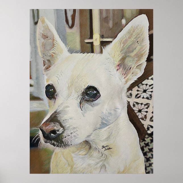 Chihuahua Rat Terrier Poster (Front)