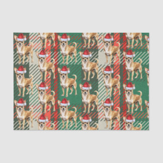 Chihuahua Santa Dog on Plaid Christmas Holiday Tissue Paper
