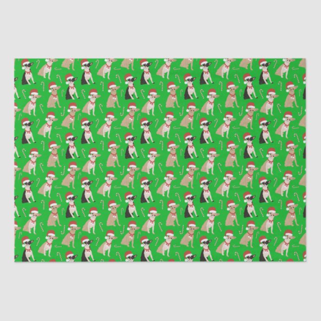 Chihuahua Santa Hat Candy Cane Green Christmas  Tissue Paper (Front)