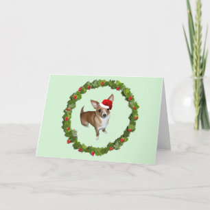 Chihuahua Santa Holiday Card