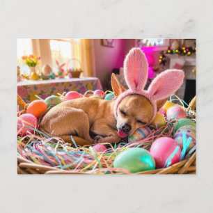 Chihuahua Sleeping in Easter Basket Postcard