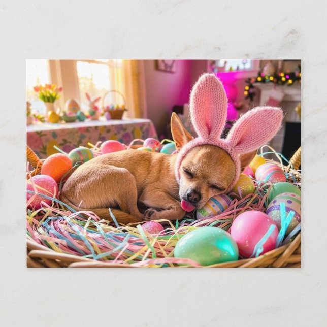 Chihuahua Sleeping in Easter Basket Postcard (Front)