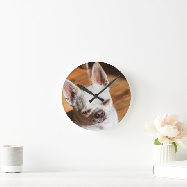 Chihuahua sleepy squint relaxed tongue out Photo Round Clock (Home)