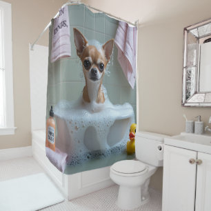 Chihuahua Sloppy Sleepy Cute Funny