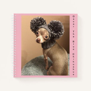 Chihuahua spiral notebook
