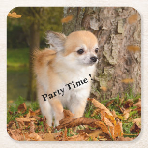 Chihuahua     square paper coaster