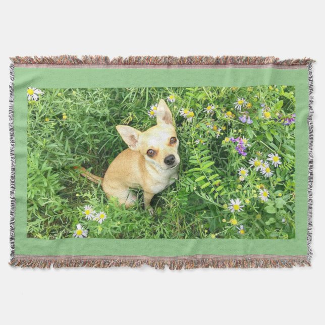 Chihuahua tapestry "sage green" throw. throw blanket (Front)