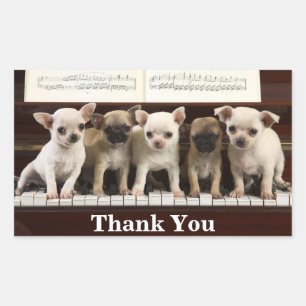 Chihuahua Thank You Puppy Dogs ( Chewawa Chiwawa ) Sticker