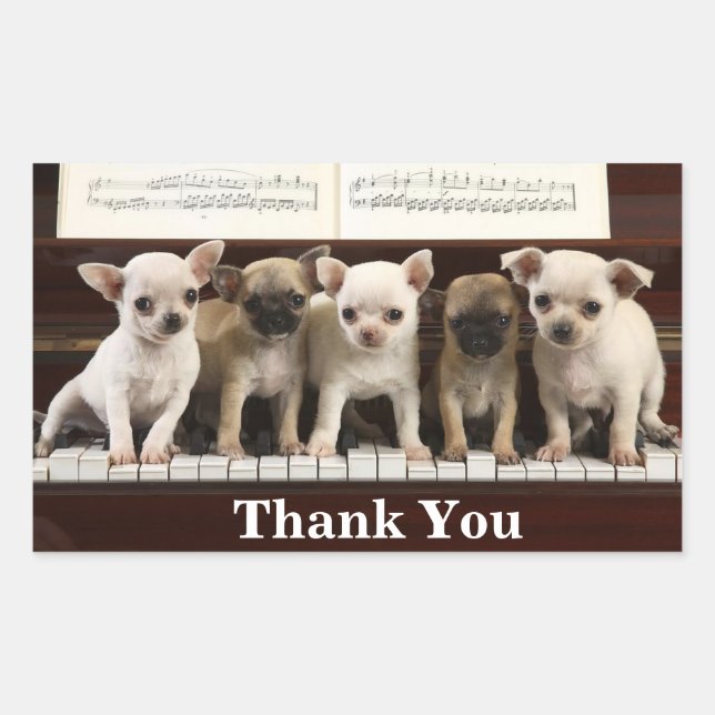 Chihuahua Thank You Puppy Dogs ( Chewawa Chiwawa ) Sticker (Front)