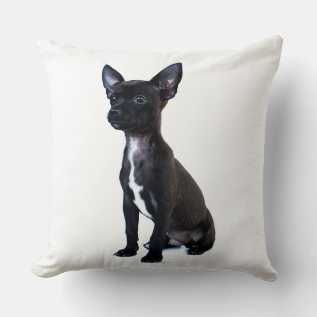 Chihuahua Throw Pillow (Front)