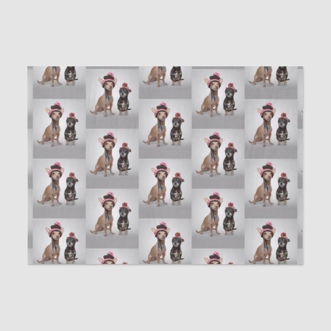 Chihuahua Tissue Paper (Front)