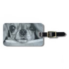 Chihuahua under Blanket original artwork