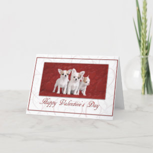 Chihuahua Valentine card 2