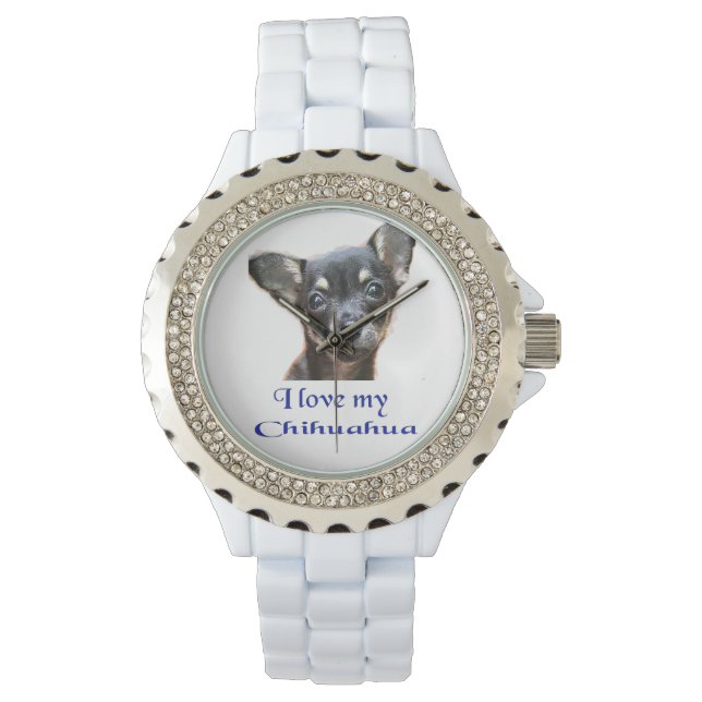 Chihuahua watches (Front)