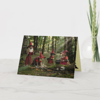 Chihuahua Witch Halloween Card