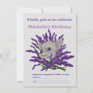 Chihuahua with lavender invitation