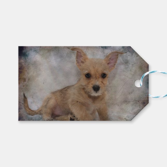 Chihuahua/Yorkie Puppy Gift Tags (Front (Horizontal))