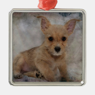 Chihuahua/Yorkie Puppy Metal Ornament