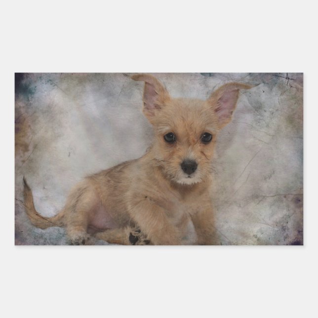 Chihuahua/Yorkie Puppy Sticker (Front)