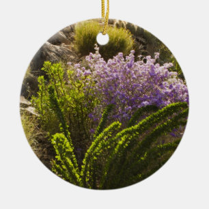 Chihuahuan desert plants in bloom ceramic ornament