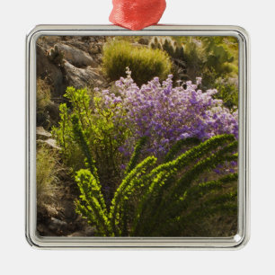 Chihuahuan desert plants in bloom metal ornament