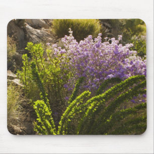 Chihuahuan desert plants in bloom mouse pad