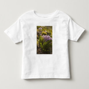 Chihuahuan desert plants in bloom toddler t-shirt