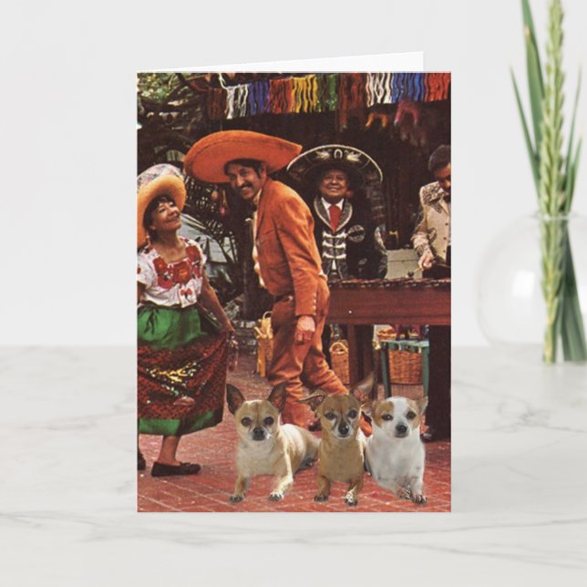 Chihuahuas 3 Amigos Card (Front)