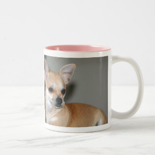 Chihuahuas Are The Best Two-Tone Coffee Mug