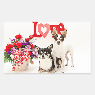 Chihuahua's, Flowers and Love Sticker
