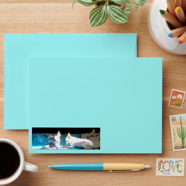 Chihuahuas in Love Cartes de voeux Enveloppes (Desk)