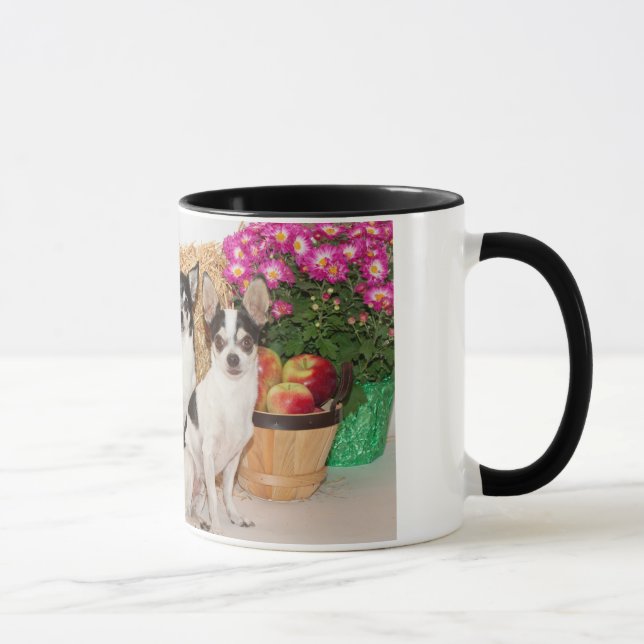 Chihuahua's in the fall mug (Right)