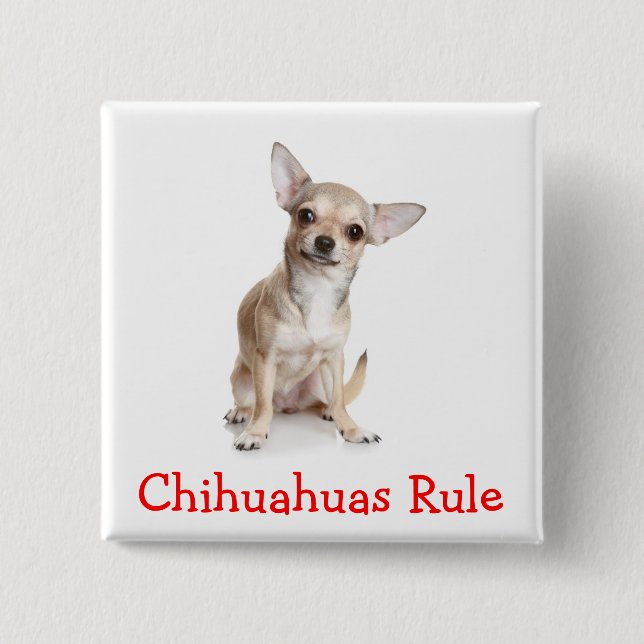 Chihuahuas Rule Button Pin (Front)