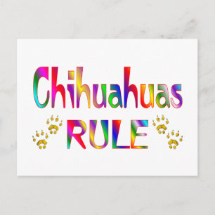Chihuahuas Rule Postcard
