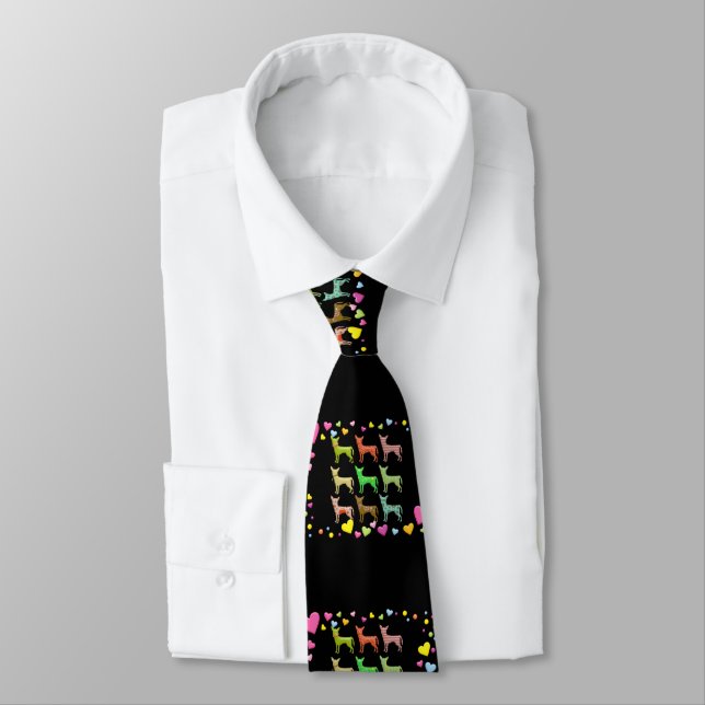 Chihuahuas Tie (Tied)