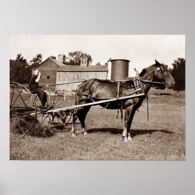 Child Farmer On A Horse Drawn Hay Rake - 1915 Poster (Front)