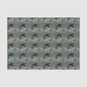 Child Petting Donkey Tissue Paper